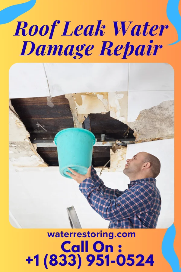 Roof Leak Water Damage Repair in Carney, MD